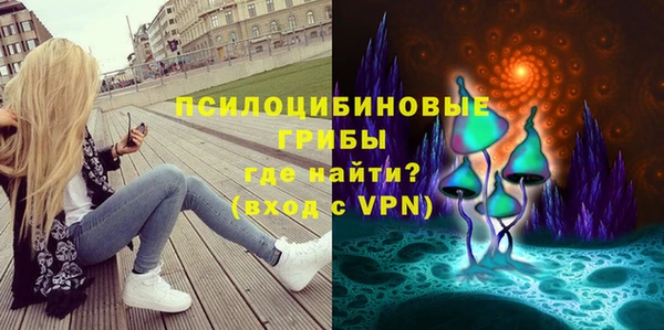 экстази Арсеньев