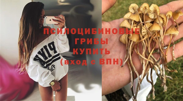 Альфа ПВП Аркадак