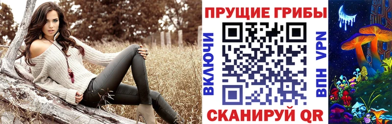 Псилоцибиновые грибы GOLDEN TEACHER  Купить где  Кумертау 